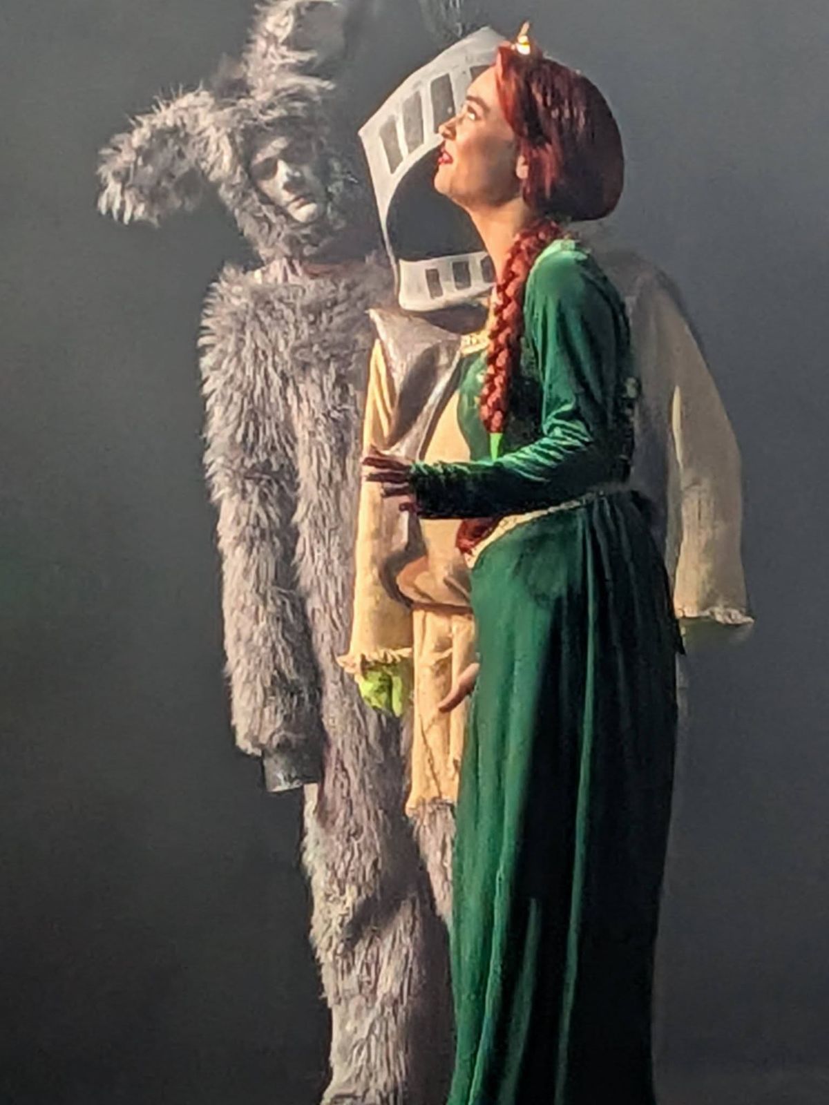 Fiona, Donkey and a knight