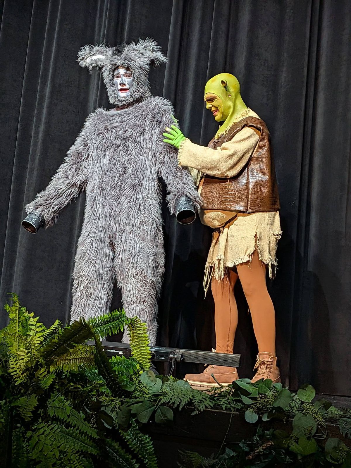 Donkey and Shrek on stage