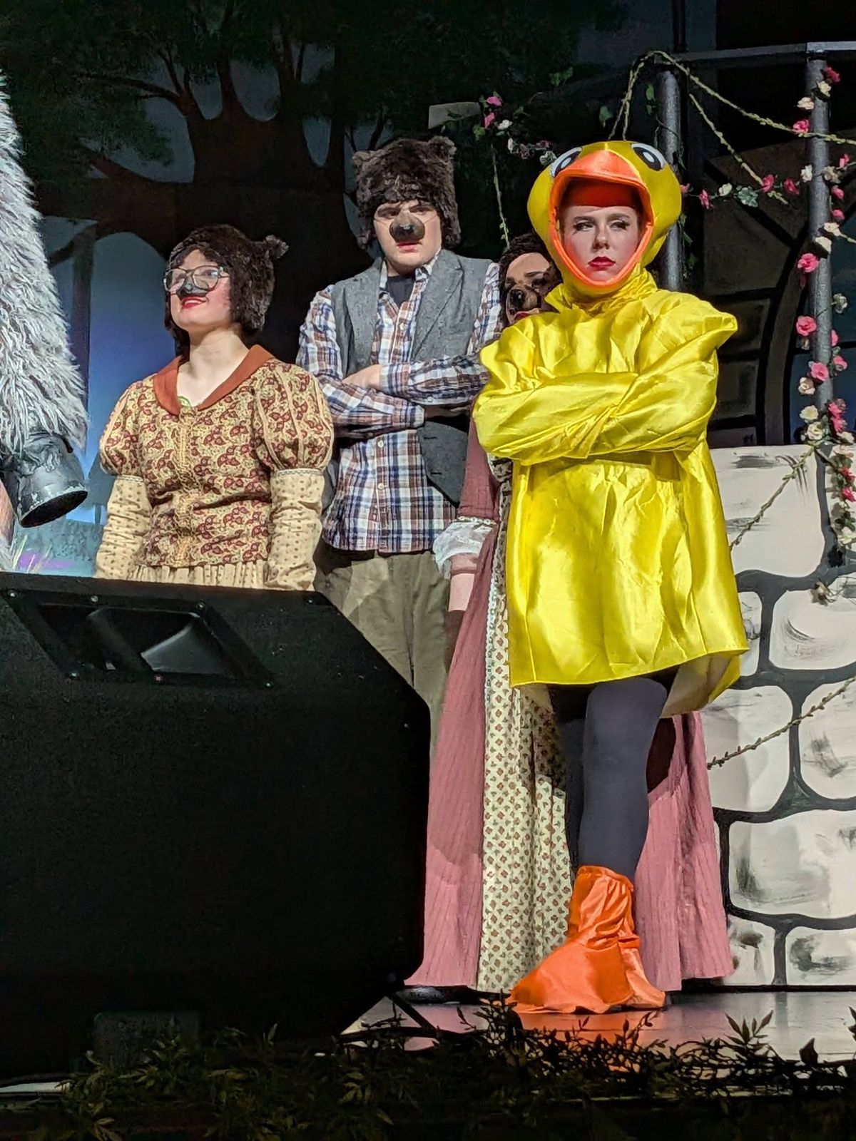 The Ugly Duckling and fairytale characters on stage